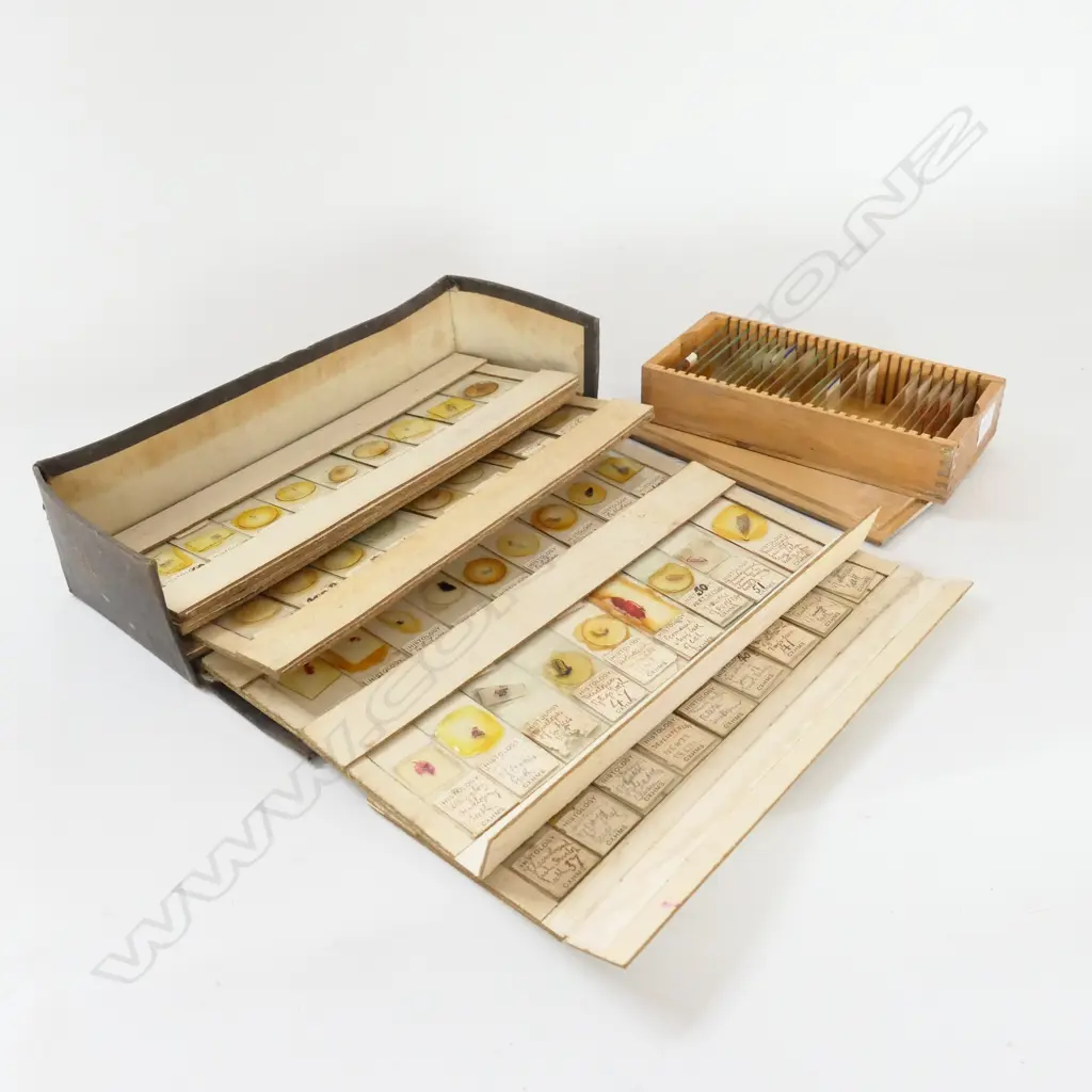 BOX OF VINTAGE MICROSCOPIC DENTAL (HISTOLOGY) SLIDES & ANOTHER SMALL BOX OF SLIDES Image 1++